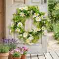 Daisy Krans Hvid Grøn Kunstig Ø28cm H9cm | Floristik24.dk