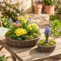 Plantering, planteskål, træ, naturgrå, Ø30/35 cm, sæt med 2. | Floristik24.dk