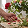 Blomsterhandler kniv Victorinox | Floristik24.dk
