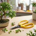 Oasis bonsai &amp; tangsaks 15,5 cm | Floristik24.dk