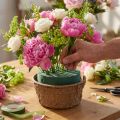 Vådt blomsterskum med skål til blomster H10cm Ø16cm 2 stk | Floristik24.dk