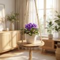 Plantegynge, blomsterbakke på reb, hængekurv med makrame Ø34cm L84cm | Floristik24.dk