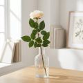Cremet hvid abrikosrose, silkeblomst, kunstige roser L72cm Ø12cm | Floristik24.dk