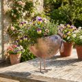 Urtepotte Kylling Metal Fugl Metallic Rosé 51×16×37cm | Floristik24.dk