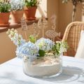 Blomsterpropper maritime pyntepropper træ 7cm 12stk | Floristik24.dk