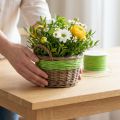 Papirsnor trådviklet Ø2mm 100m æblegrøn | Floristik24.dk