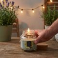 Duftlys i glas citronella salviegrøn H11,5cm | Floristik24.dk