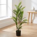 Bregne i en gryde grøn 80 cm | Floristik24.dk