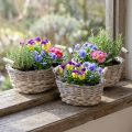 Naturkurv til plantning, kurv med håndtag, plantekasse shabby chic hvidvasket L31/27,5/24cm H12/11,5/10cm sæt med 3 stk. | Floristik24.dk