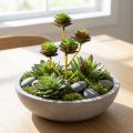 Sukkulent pluk grøn / brun 35,5 cm | Floristik24.dk