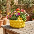 Plantekasse citron keramisk skål plantekasse gul Ø26cm H12cm | Floristik24.dk