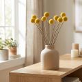 Craspedia tørrede blomster, gule, 70 cm, dekorative, 10 stk. | Floristik24.dk
