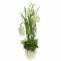 Floristik24 Fritilaria i æggeskallen til at hænge kunstigt grøn, hvid 25 cm