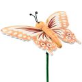Floristik24 Blomsterprop træ dekorative sommerfugle på pind 23cm 16stk