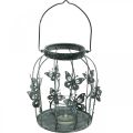 Floristik24 Spring dekoration, lanterne med sommerfugle, metal lanterne, sommer, lys dekoration