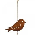 Floristik24 Dekorativ fugl, madophæng, metaldekoration rustfrit stål 19 × 13,5 cm
