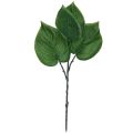 Floristik24 Philodendron kunstige træven kunstige planter grøn 39cm