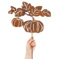 Havepæl med græskarmotiv, metaldekoration, rustfinish, 100 cm | Floristik24.dk