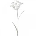 Floristik24 Havestiksblomst, havedekoration, plantestik lavet af metal shabby chic hvid, sølv L52cm Ø10cm 2stk