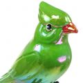 Floristik24 Havestik papegøje grøn 16cm