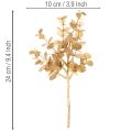 Kunstig eukalyptusplante, guldfarvet dekorativ gren til borddekoration, 24 cm | Floristik24.dk