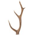 Floristik24 Dekorative kunstige gevirer, rustik hyttedekoration, 50 cm
