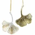 Floristik24 Dekorationsbøjle Ginkgo bladglas guld 8cm × 10cm 2stk