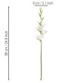Kunstig gladiolus, lang stilk, til vaser, 88 cm | Floristik24.dk