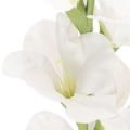 Kunstig gladiolus, lang stilk, til vaser, 88 cm | Floristik24.dk