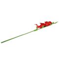 Floristik24 Gladiolus rød kunstig 86cm
