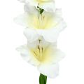 Floristik24 Gladiolus hvid 86 cm kunstig