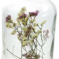 Floristik24 Glas med lysestage, glasdekoration med tørrede blomster H16cm Ø8,5cm
