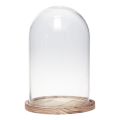 Floristik24 Glasklokke med træplade glasdekoration Ø17cm H25cm