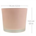 Floristik24 Urtepotte glas plantekasse pink glasbalje Ø14,5cm H12,5cm