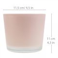 Floristik24 Urtepotte glas plantekasse pink glasbalje Ø11,5cm H11cm