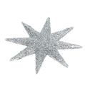 Floristik24 Glitter stjerne sølv Ø10cm 12stk