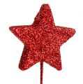 Floristik24 Glitter stjerne på wiren 5cm rød L23cm 48stk
