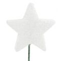 Floristik24 Glitterstjerne på wire 5cm hvid L23cm 48stk