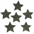 Floristik24 Stjerneglittergrøn 2,5 cm 48p