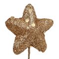 Floristik24 Glitter stjerne på wiren guld 3,5 cm 12stk