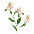 Floristik24 Gloriosa pink-hvid kunstig 84cm 3stk