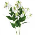 Floristik24 Kunstig lilje, blomsterdekoration, kunstig plante, silkeblomst hvid L82cm 3 stk.
