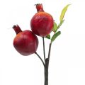 Floristik24 Dekorativ gren granatæble dekoration, dekorativ frugt, dekorativ granatæble 39cm