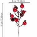 Kunstig granatæblegren med forgrenede stilke som vasedekoration, 19 cm, 4 stk. | Floristik24.dk