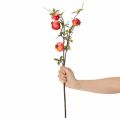 Kunstig granatæblegren som frugtgren til borddekoration, 68 cm | Floristik24.dk