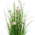 Floristik24 Bunke græs med lyserøde blomster 70 cm