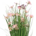 Floristik24 Bunke græs med lyserøde blomster 70 cm