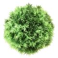 Floristik24 Græskugle dekorativ kugle kunstige planter grøn Ø15cm 1stk