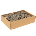 Dekorativ mos, grå mos til hobbybrug, 500 g | Floristik24.dk