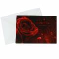 Floristik24 Kupon rose med kuvert 5stk